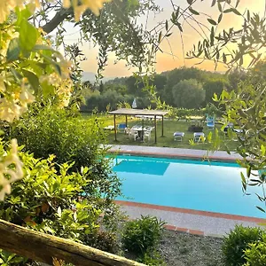 Bed and breakfast Alloro, Capannori
